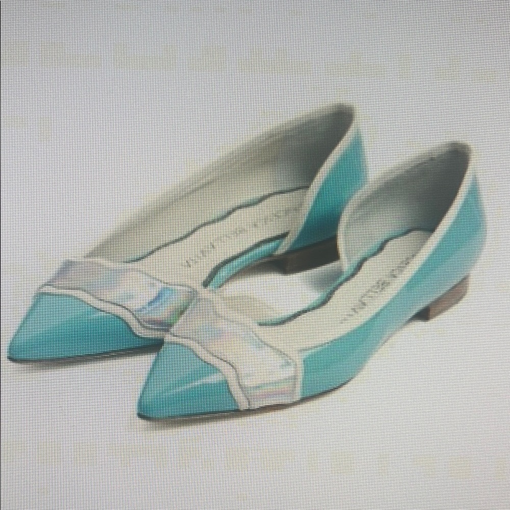 Francesca Bellavita Lucky Star patent flats.